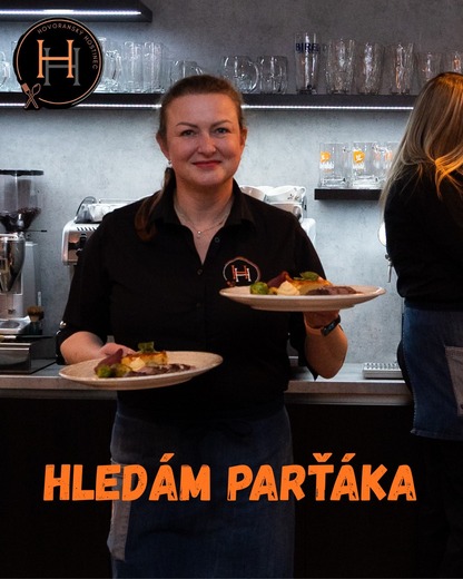 hledám.jpg